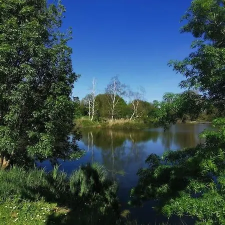 Ferienhaus Maison Cosy Proche Centre Et Plages 7 Couchages